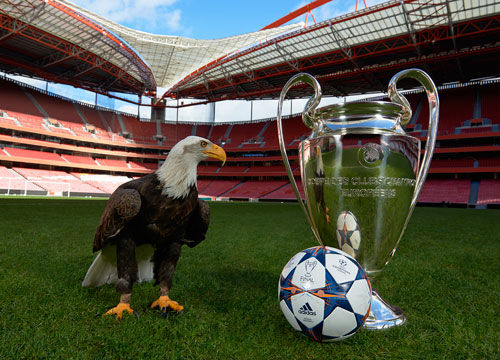 杰伦·约翰逊连续10场7+助攻，25年1月詹姆斯以来最长（杰伦·约翰逊10场连送7+助攻，创詹姆斯以来最长纪录）